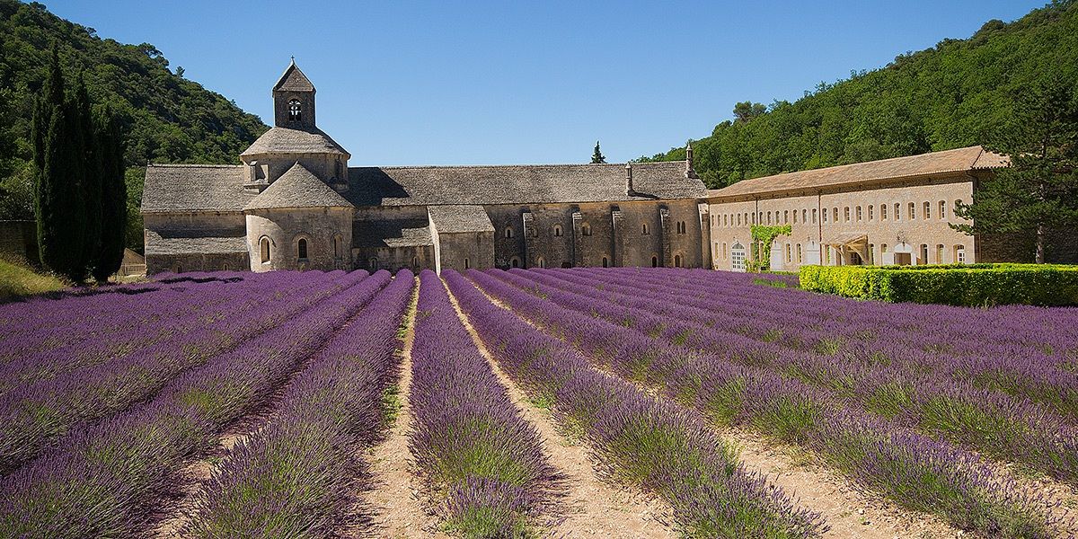 Abbazia di Senanque