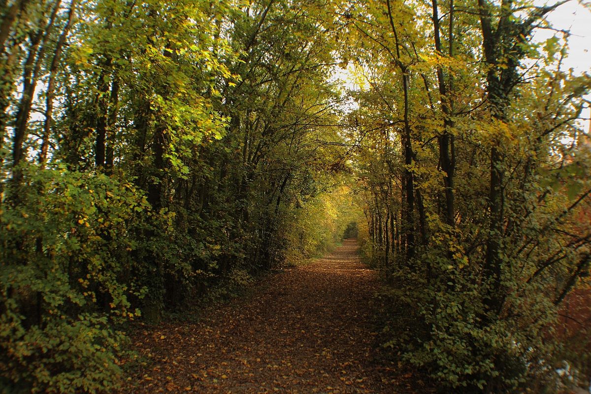 Villa Sorra - percorso esterno