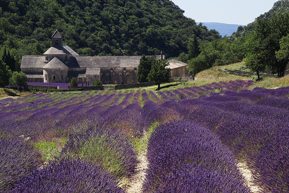 Abbazia di Senanque