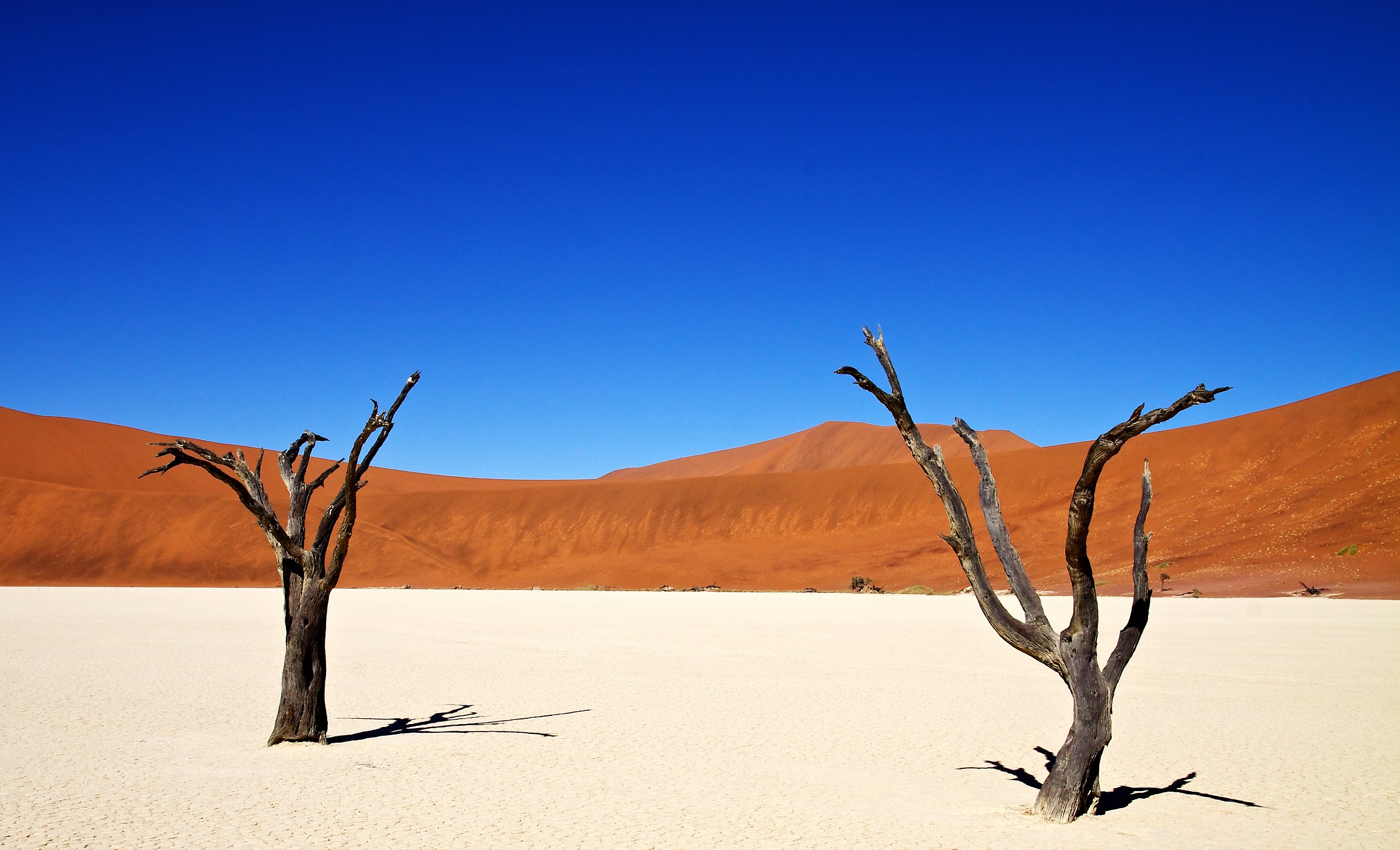 Dead Valley Sossusvlei