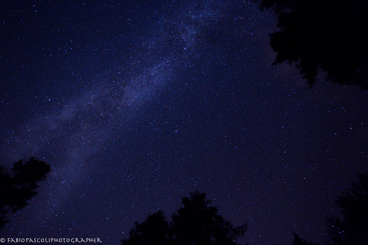 Urlando contro il cielo!