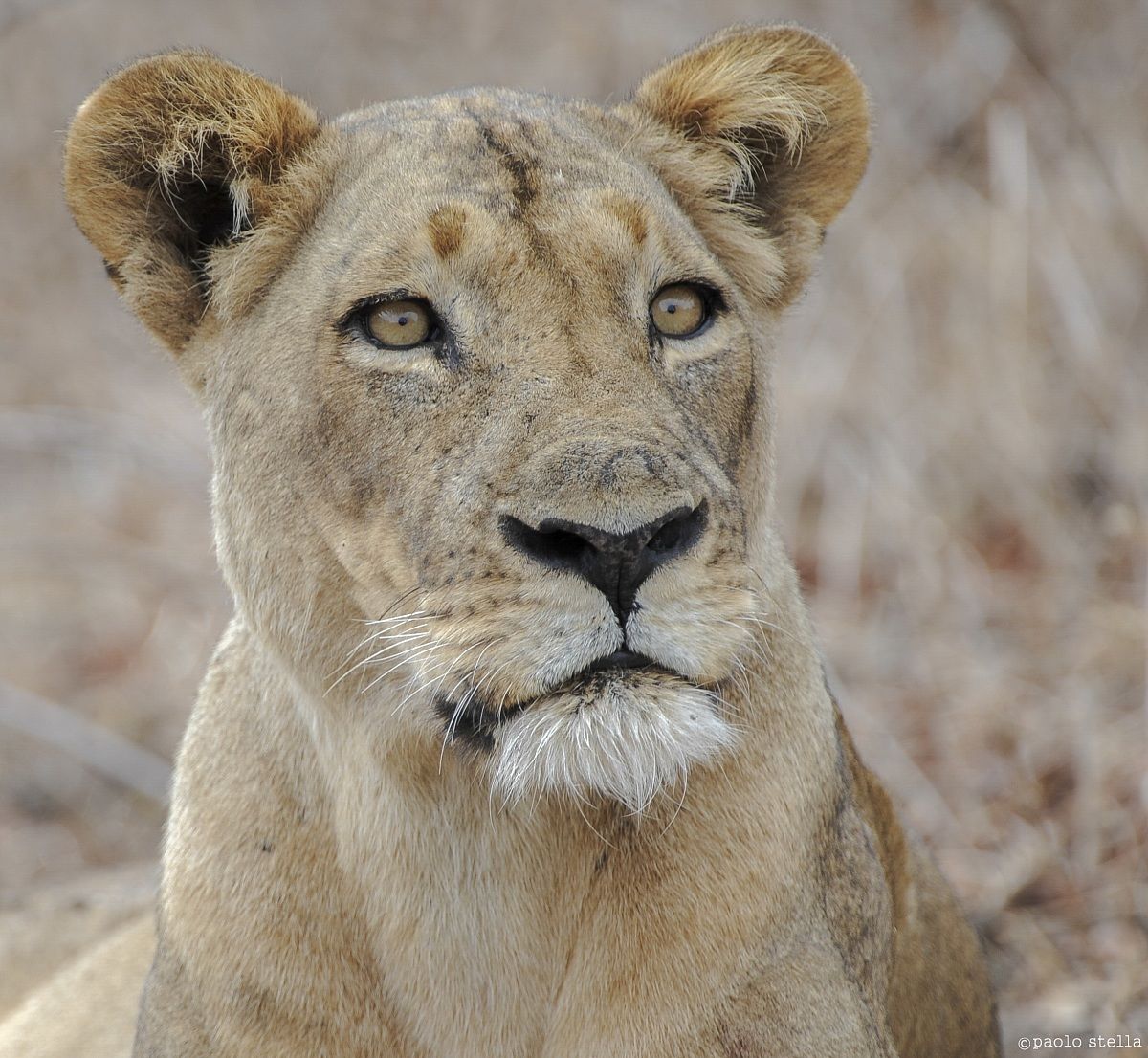 female close-up