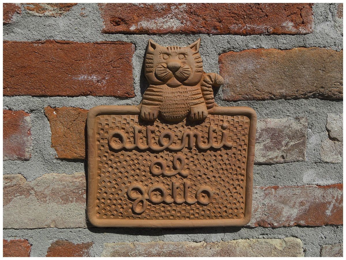 La rivincita di gatto Silvestro...