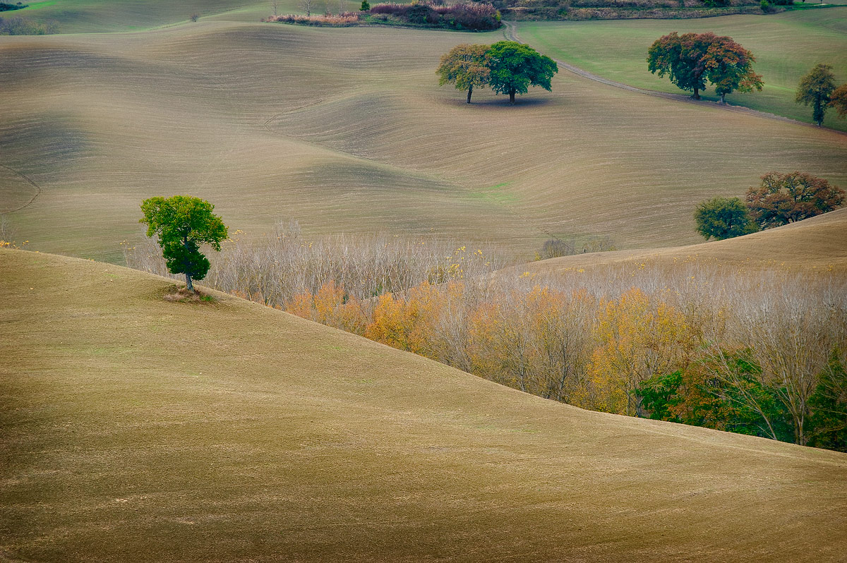 Verso Vitaleta(S.Quirico d'Orcia-SI)