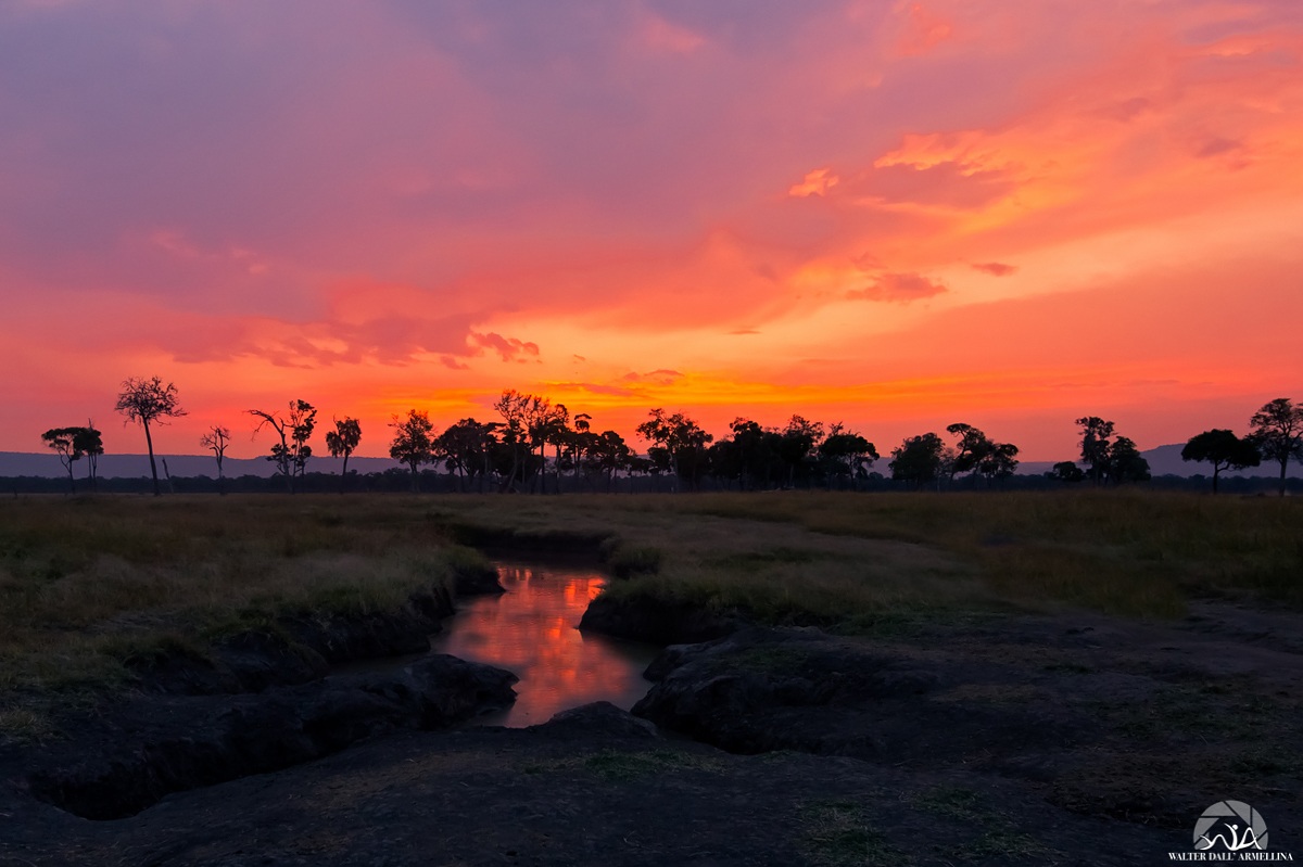 Mana Pools