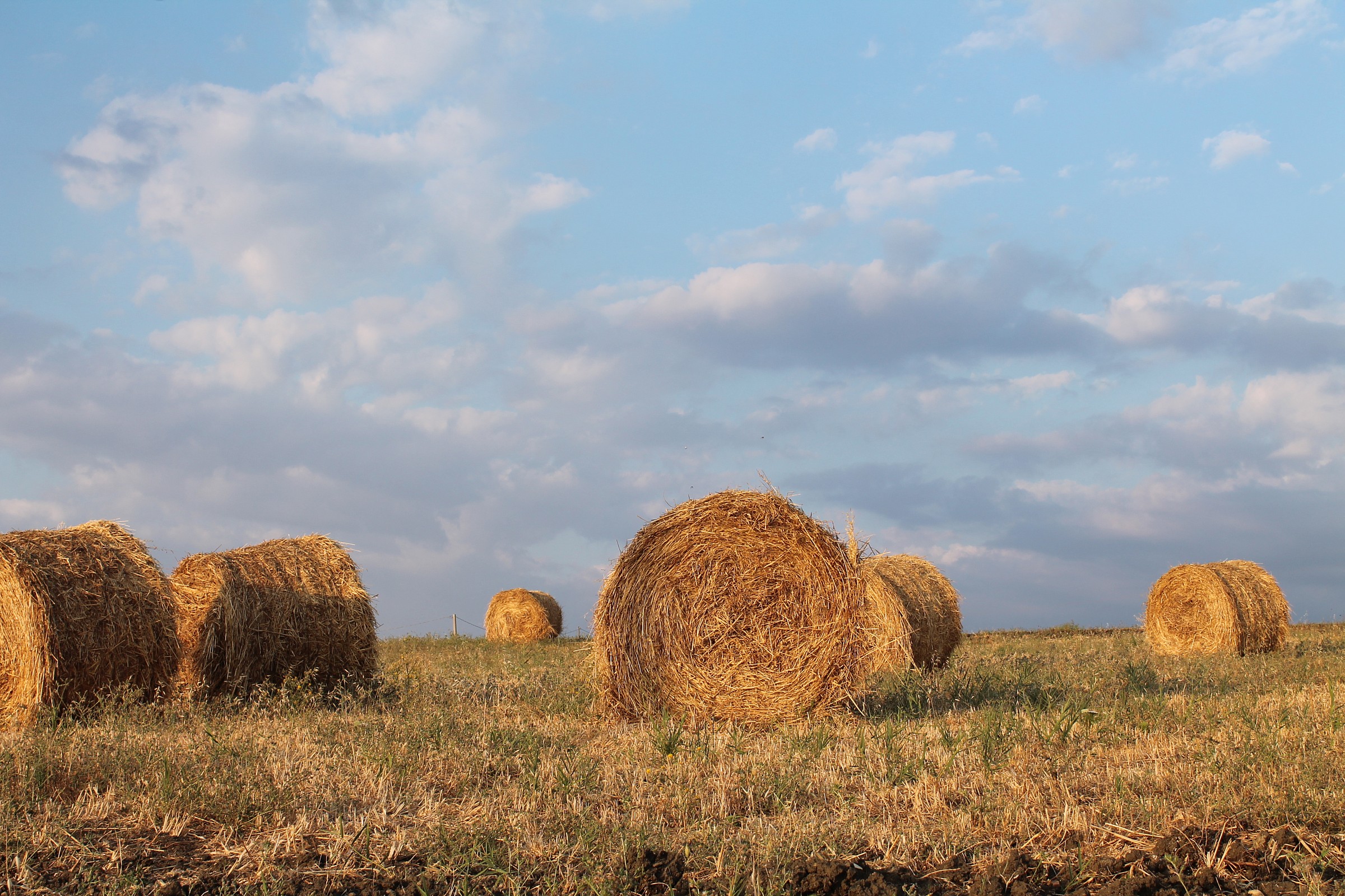 campagna castrofilippese, Castrofilippo (ag)