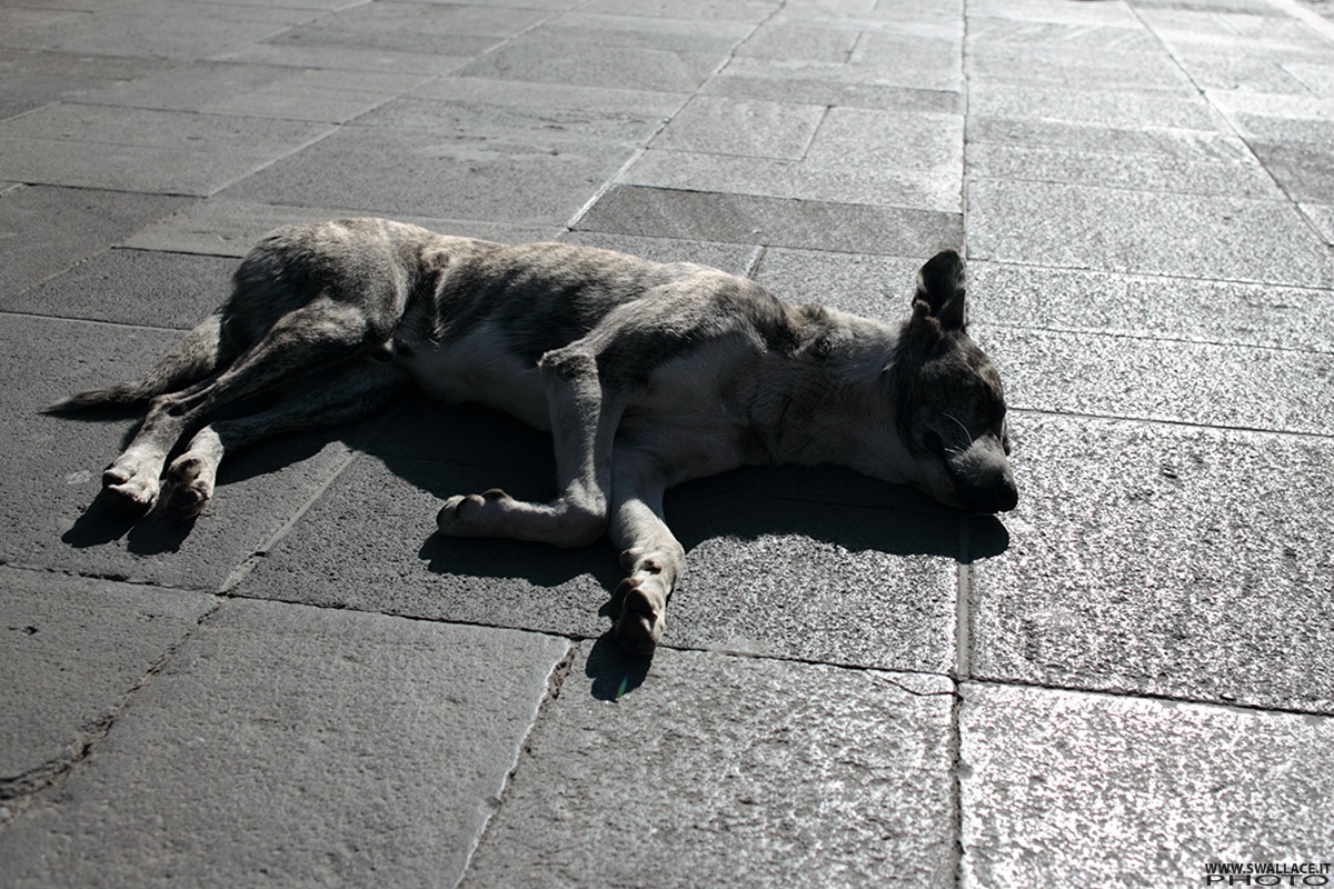 One colour... Plaza de Arma Arequipa