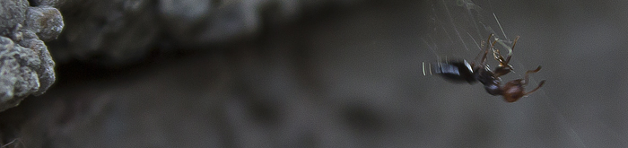 aiuutooooooooooooo!!!!!!!!