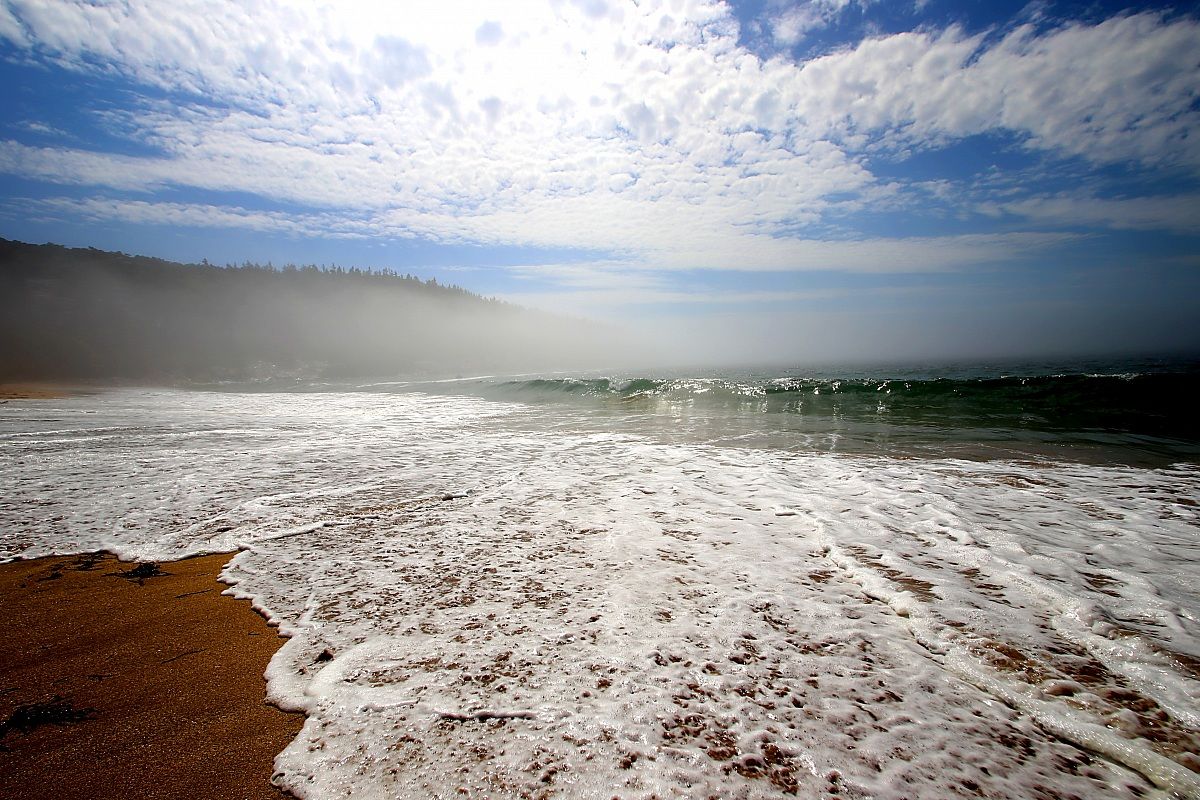 Beach sea of ??North America