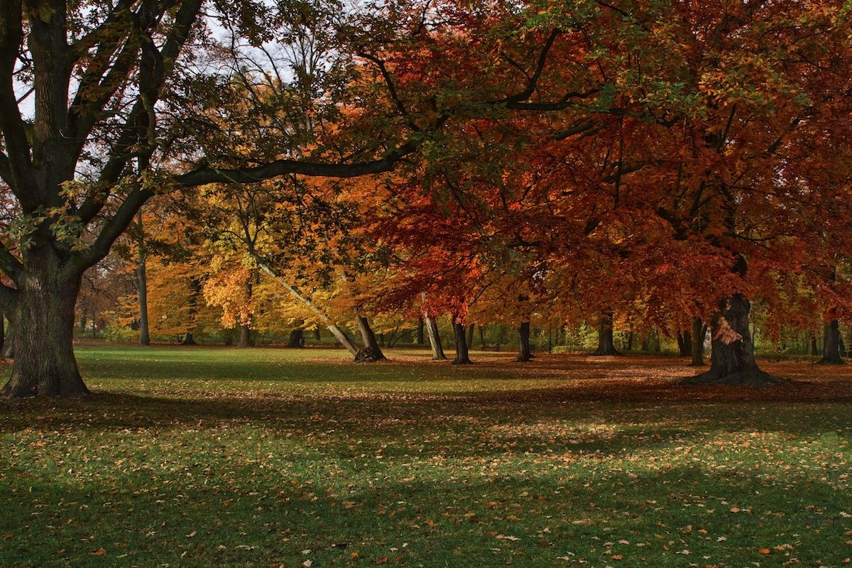Aspettando l'autunno