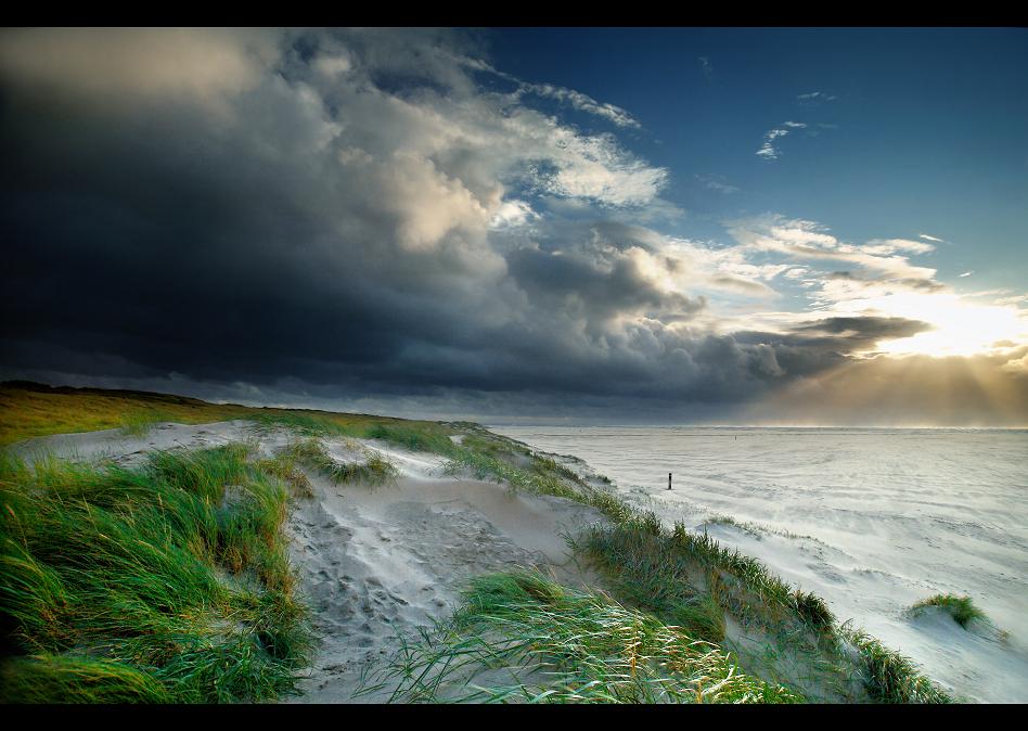 texel storm