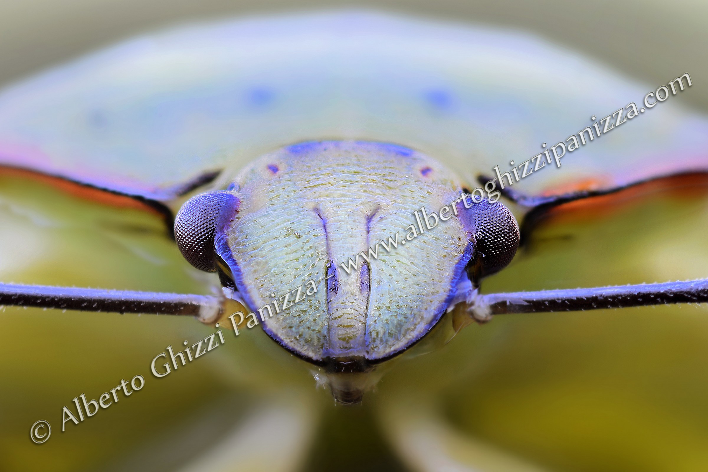 f-22 Raptor pronto al decollo