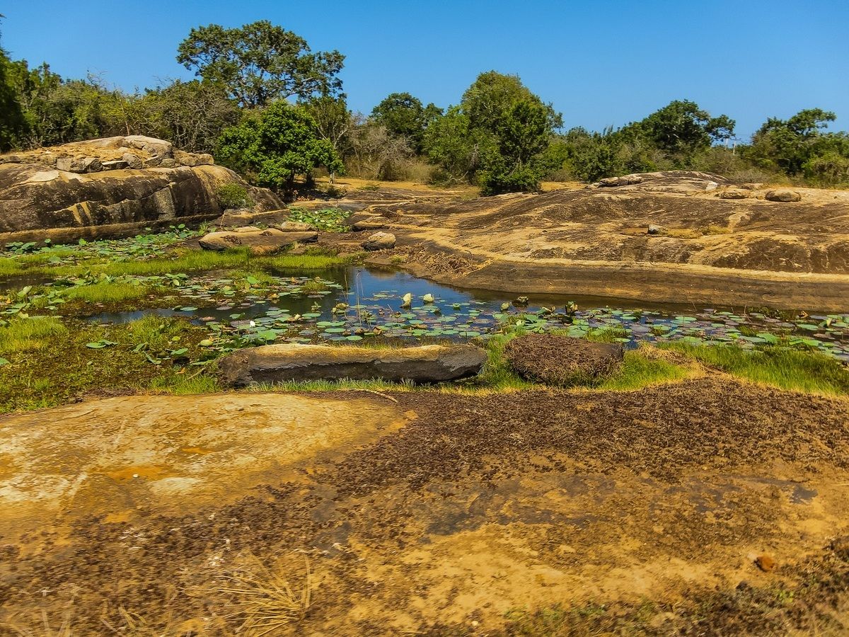 Sri Lanka - Yala National Park