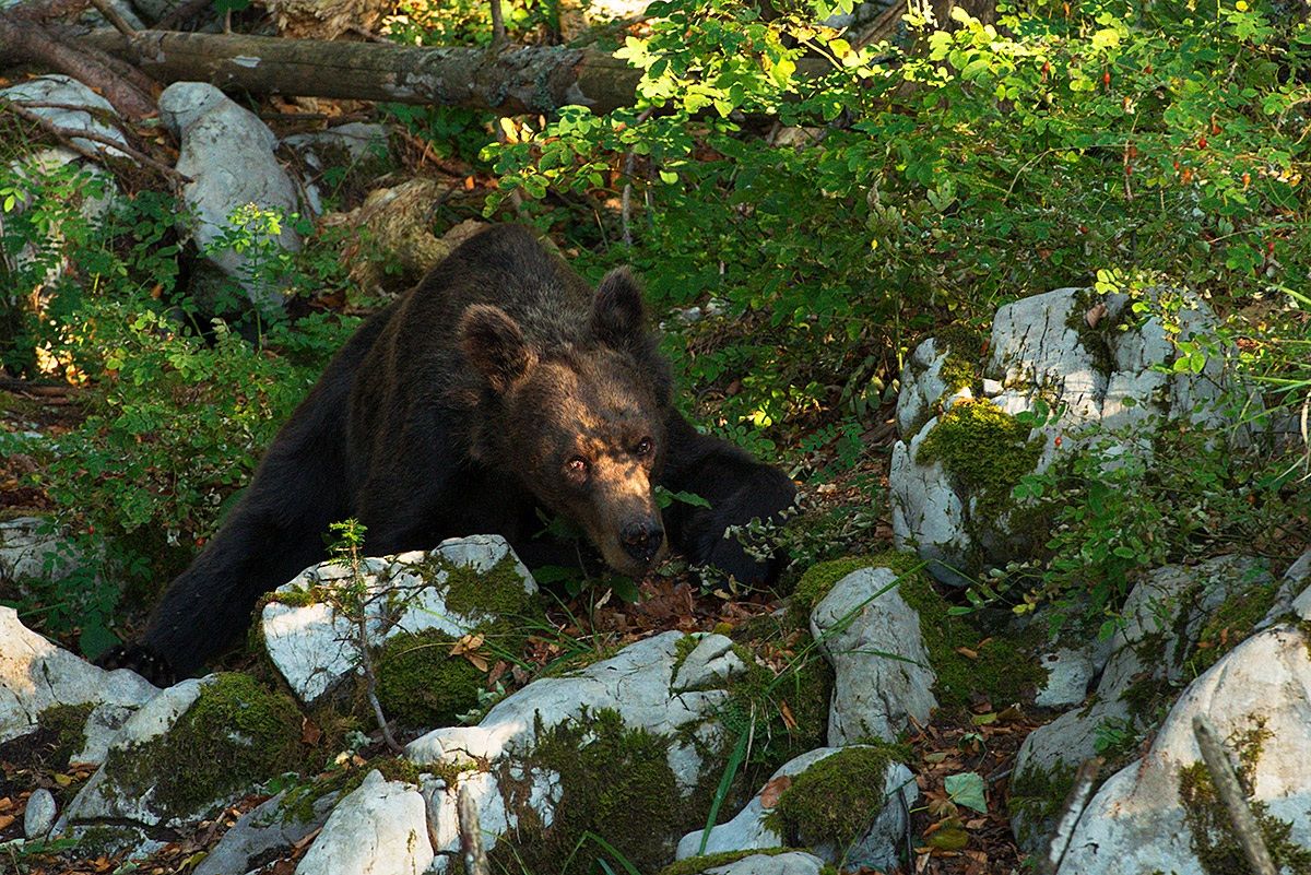 who seeks, finds ...