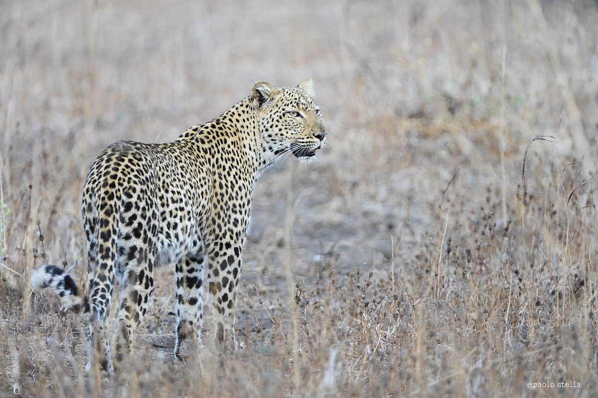 meeting the first light of day