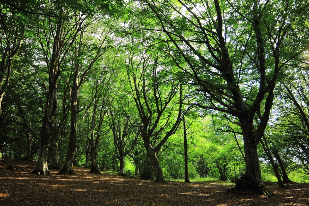 Looking for a bit of fresh