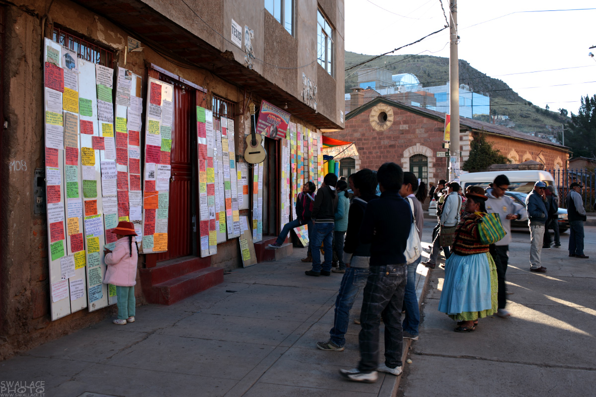 Looking for a job ... Puno
