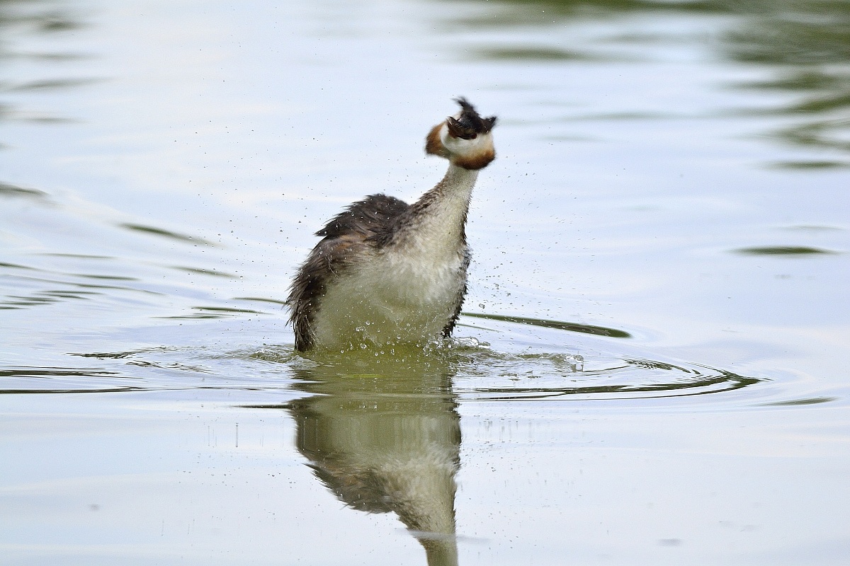 asciughiamoci un pò