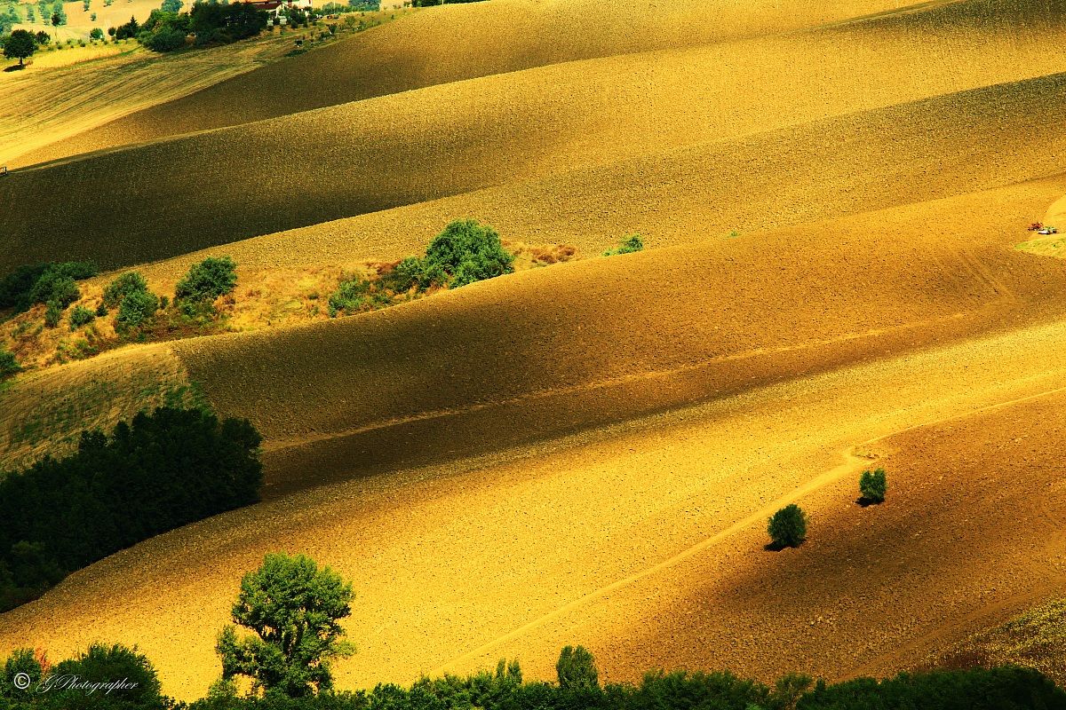 Brushstrokes of August