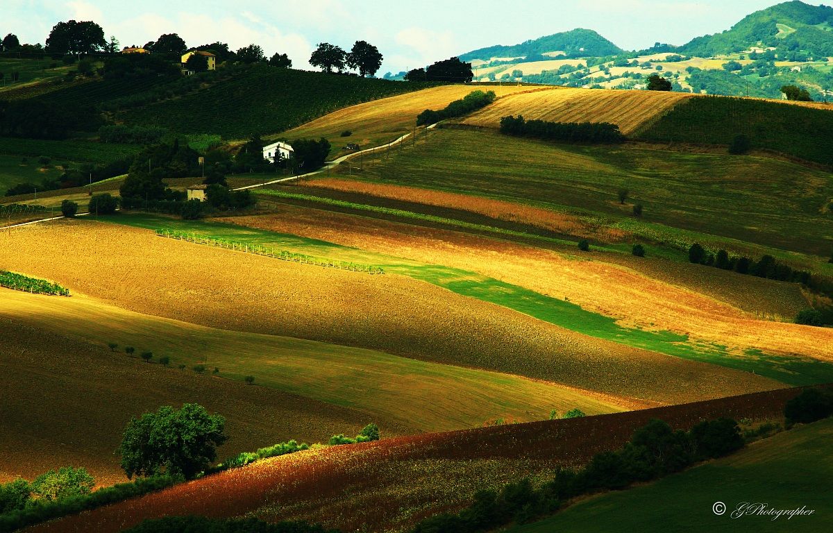 Brushstrokes of Agosto2