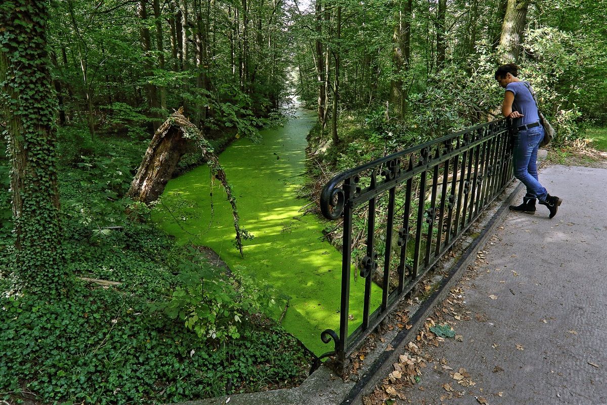 Moszna - Il giardino