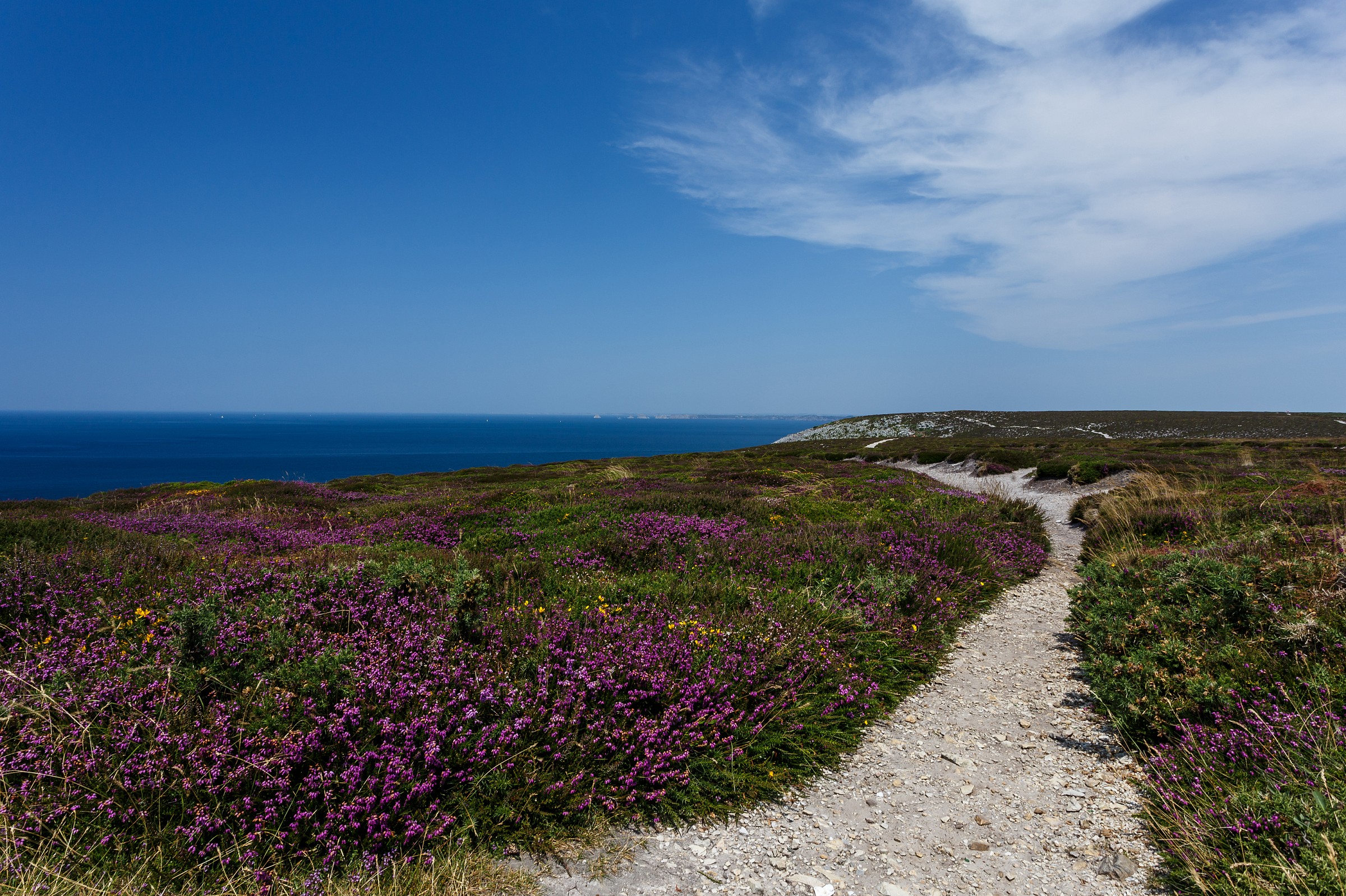 Crozon - Cap de la Chevre