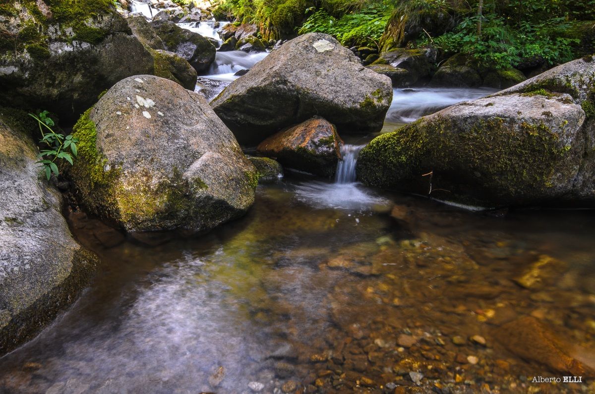 Towards the Passo Rolle
