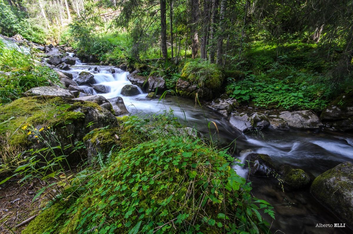 Towards the Passo Rolle