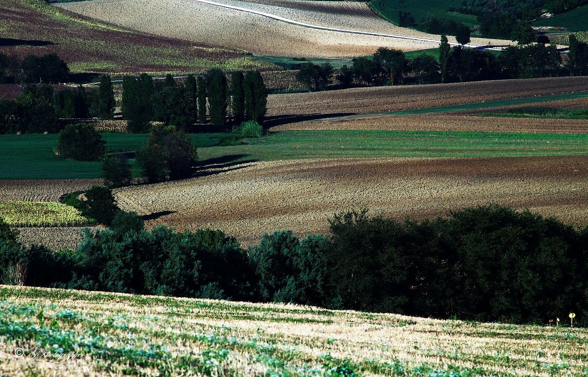 Brushstrokes of Agosto3