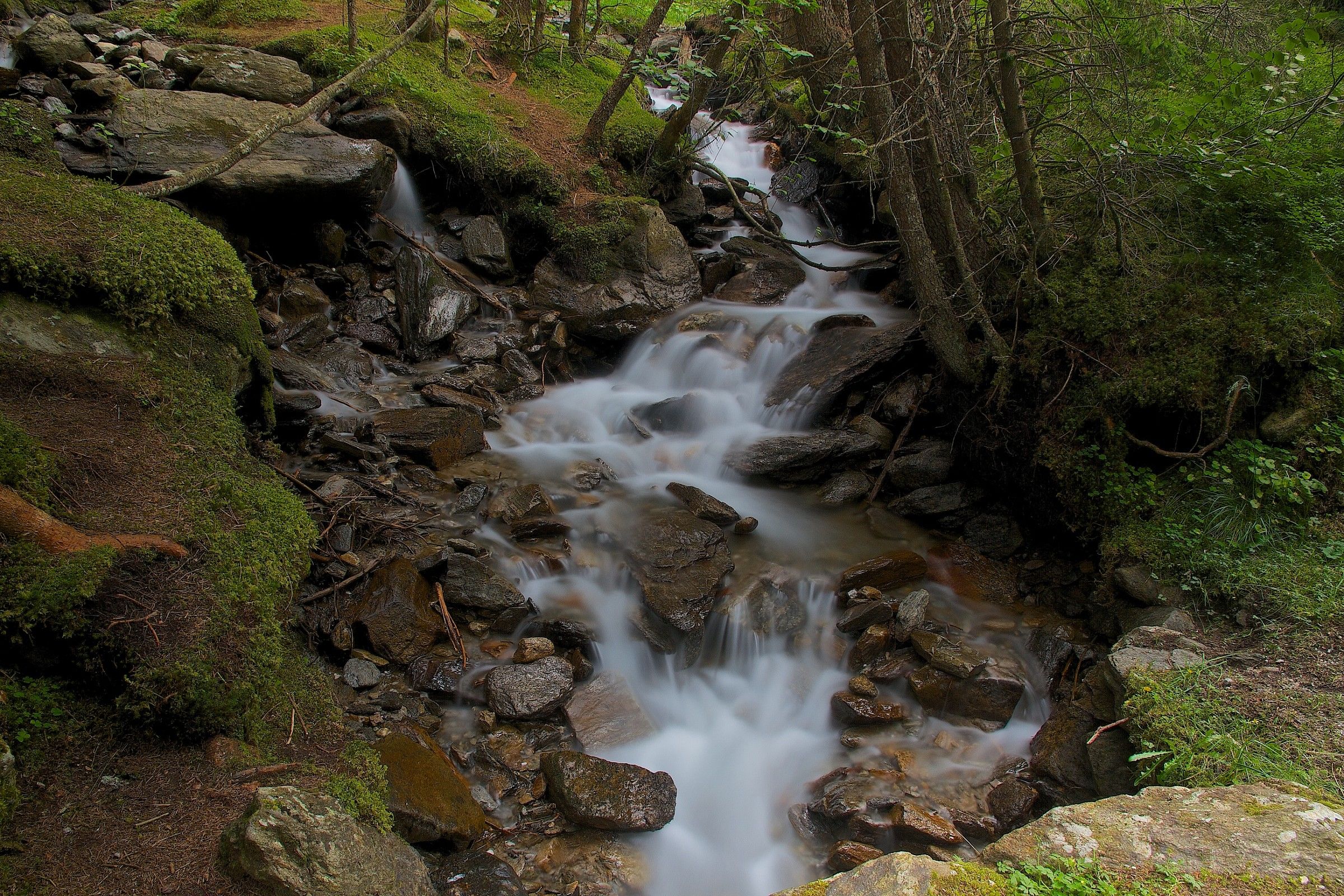 mancano solo i folletti