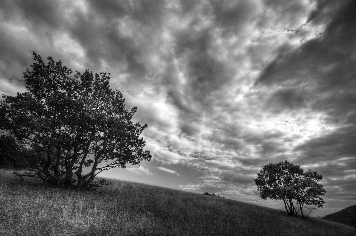 Sentinelle a montelago