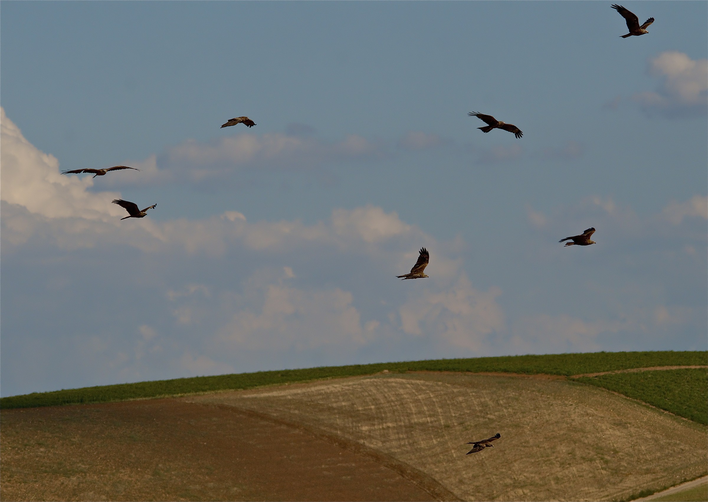 Estate Lucana - omaggio ai paesaggisti