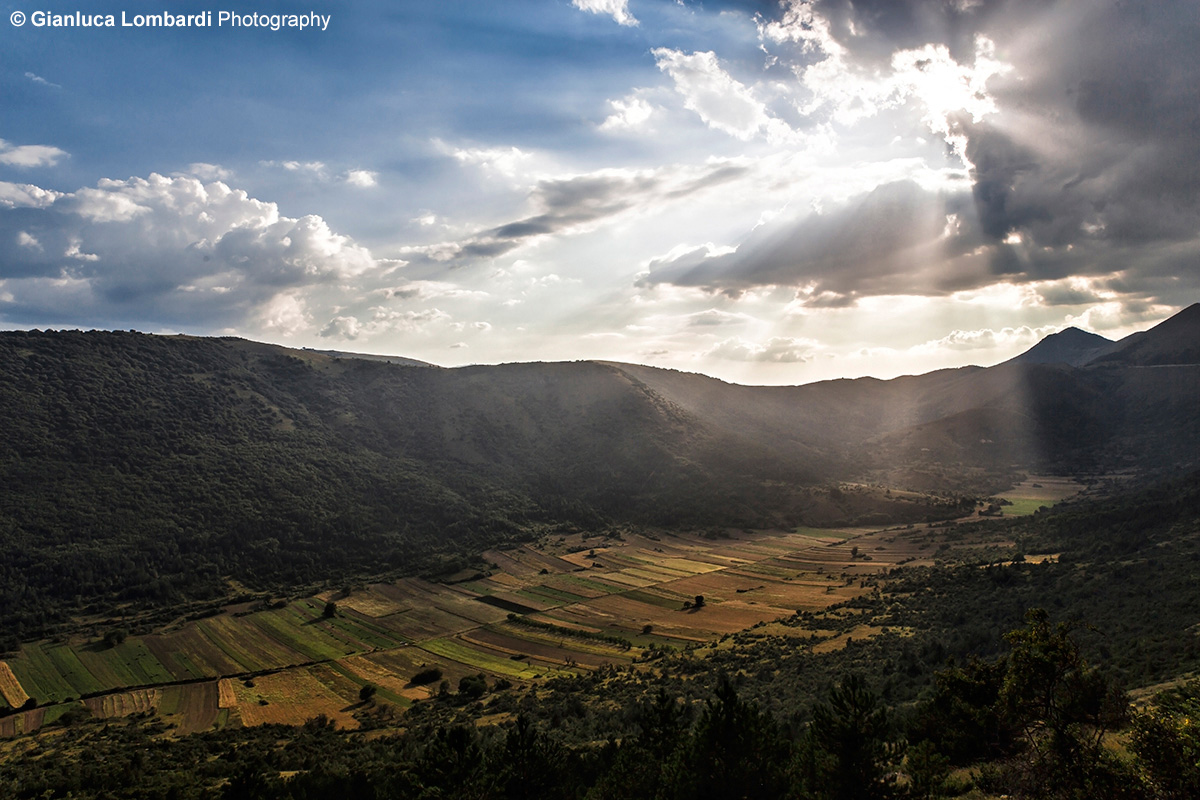 Lights of the Valley
