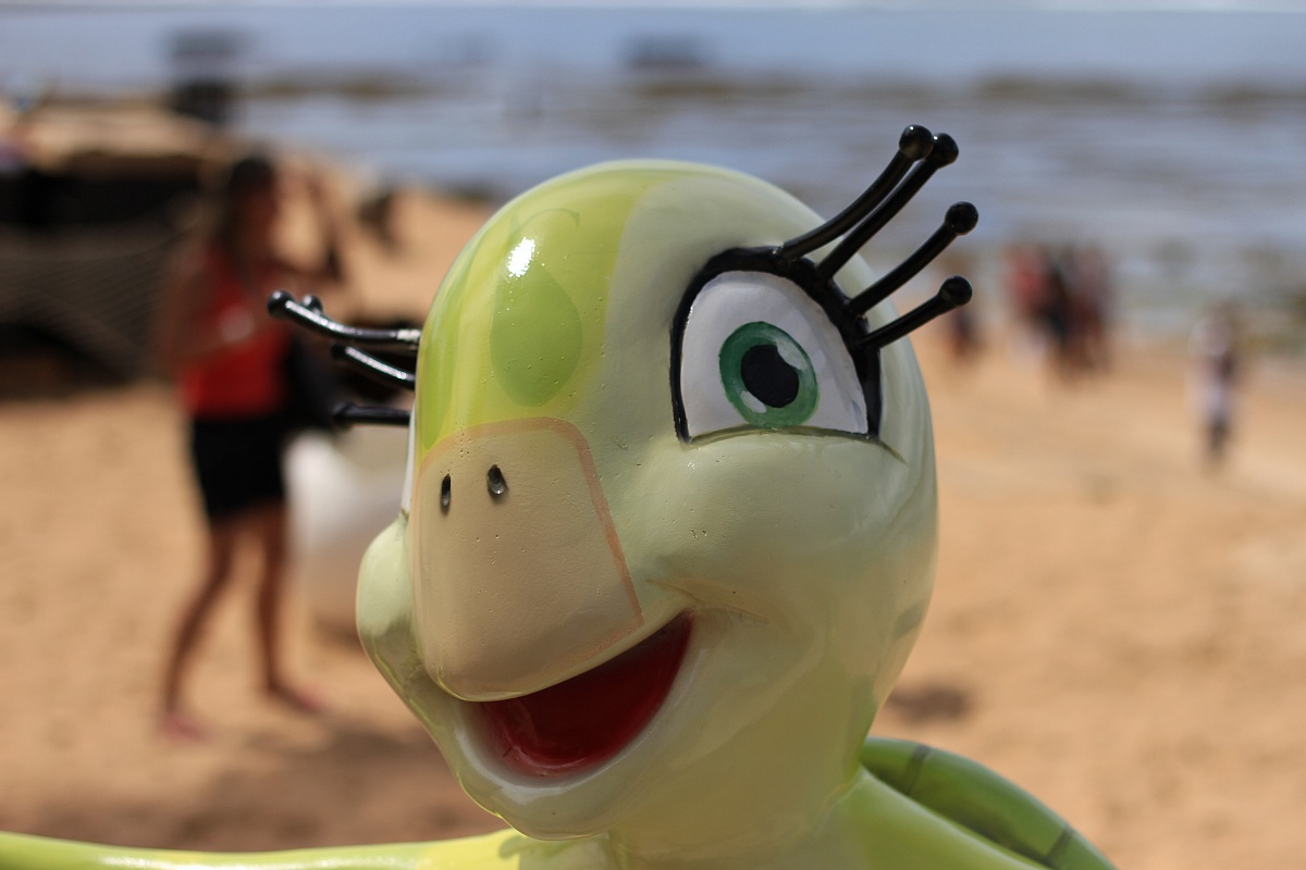 Brazil, Salvador de Bahia, Tamar Project