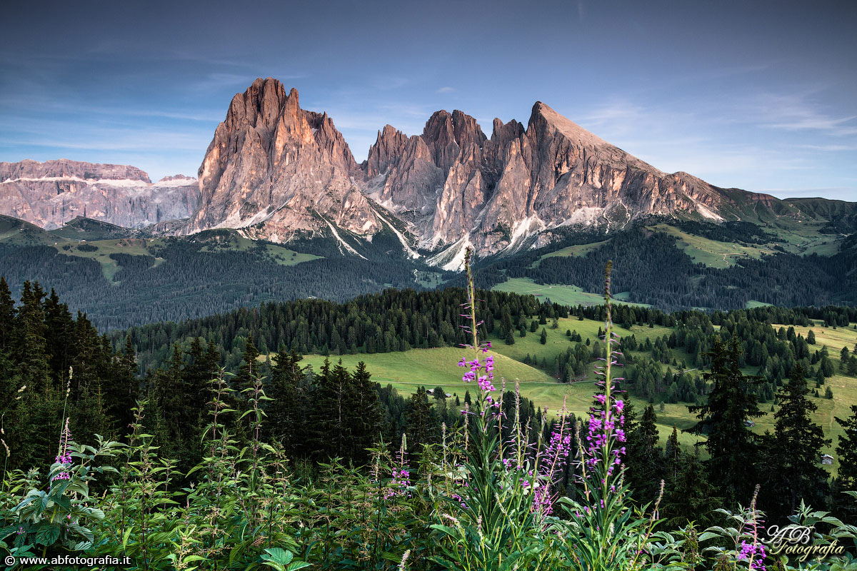 Vista del Sasso Lungo