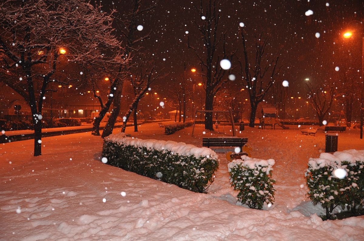 snowfall on garden for children