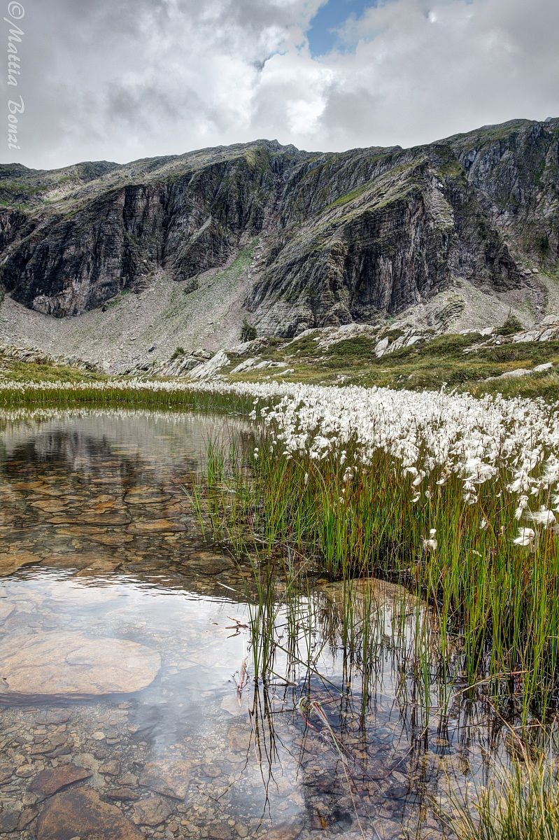Verso il passo d'aviasco