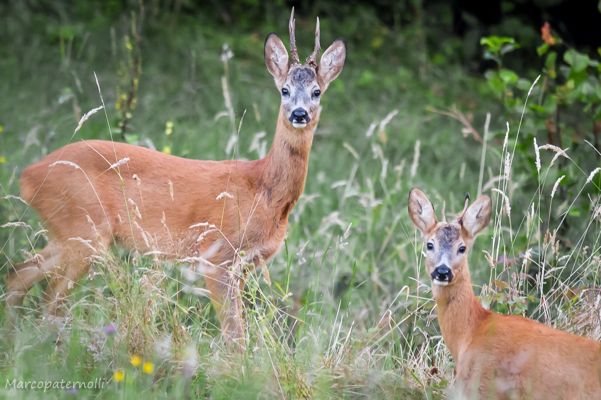 Is that what you want?