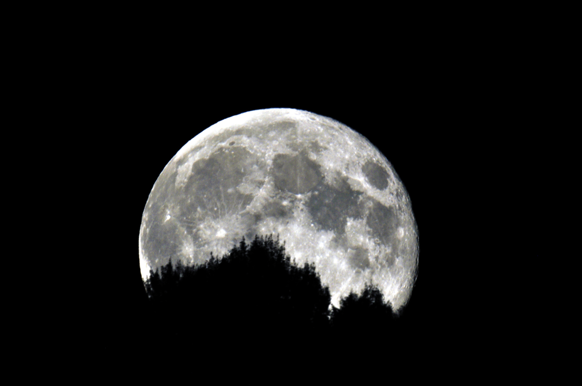 Quella luna rosicata dai topi...