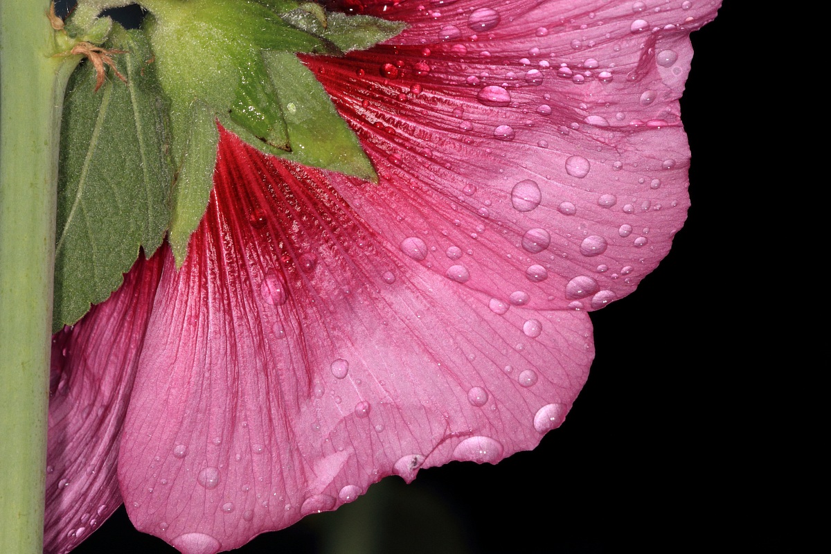 Another point of view