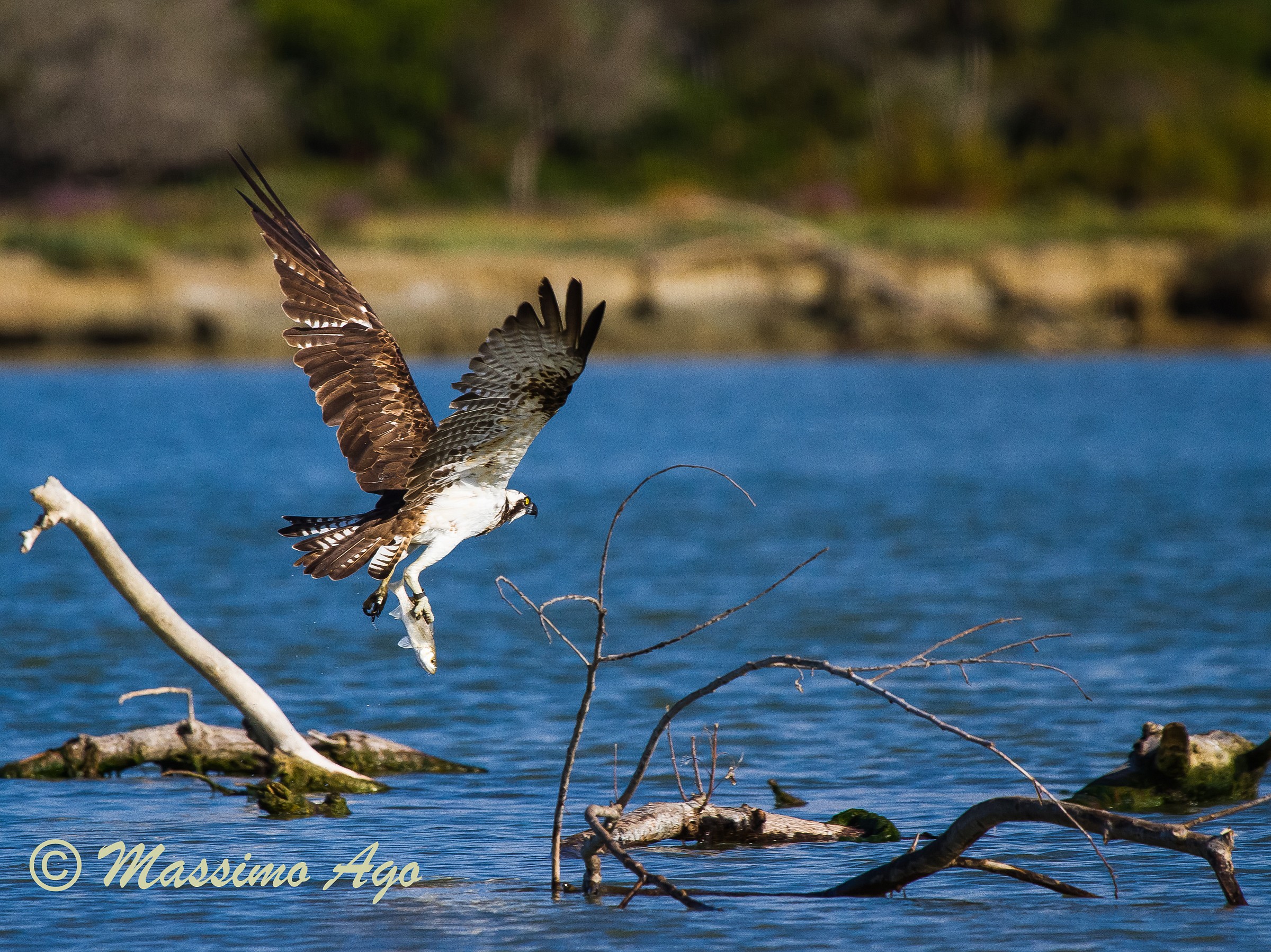 E al secondo tentativo ...