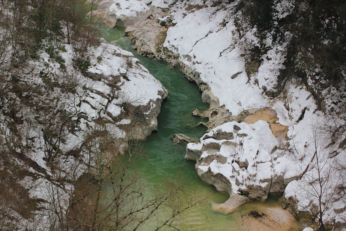 Le marmutte dei giganti in inverno