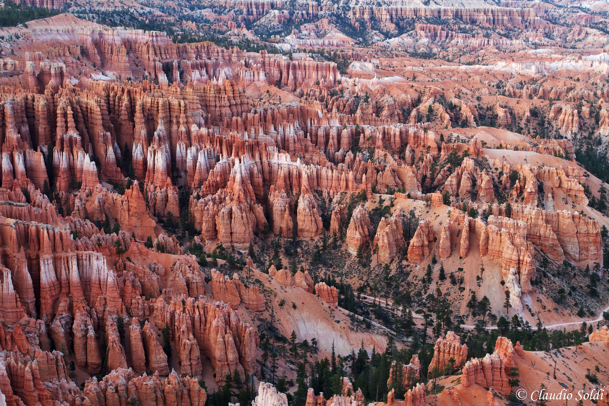 Hodos - Bryce canyon