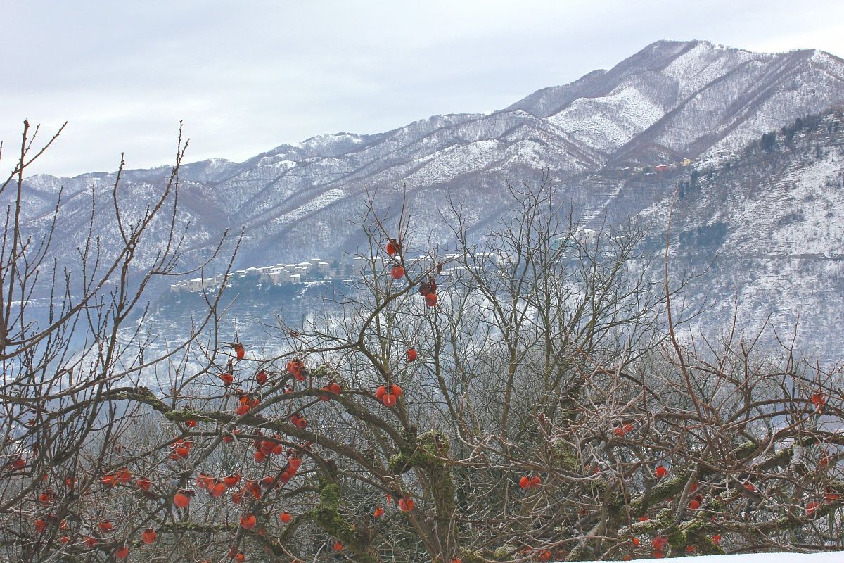 Casalattico, gateway to the gorges of the Melfa