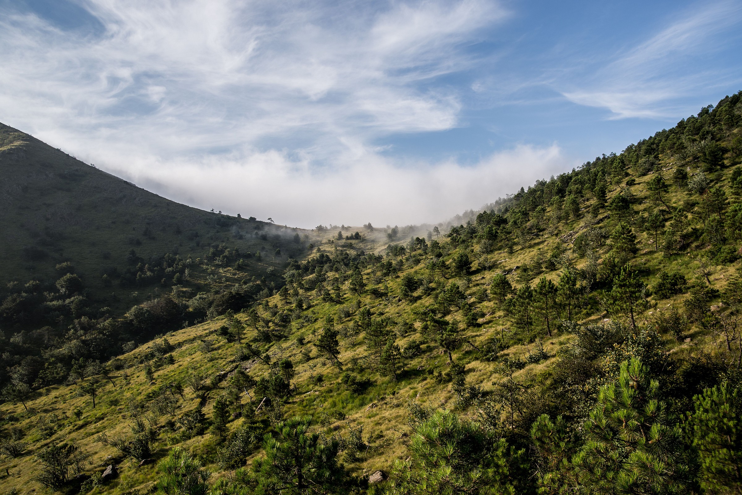 La valle incantata....