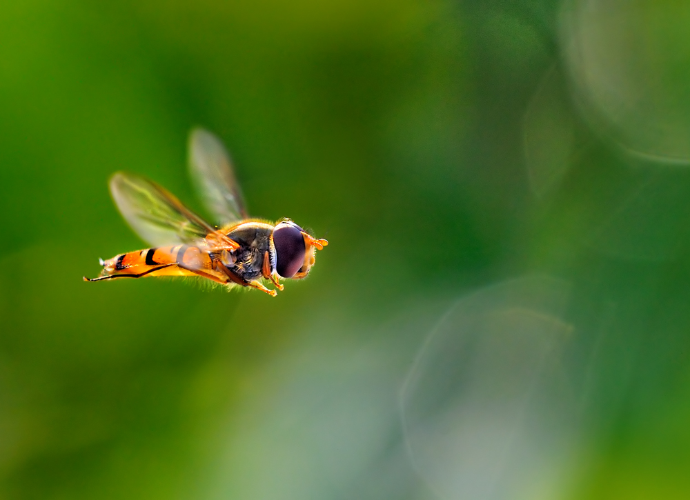 Lights in the morning ...