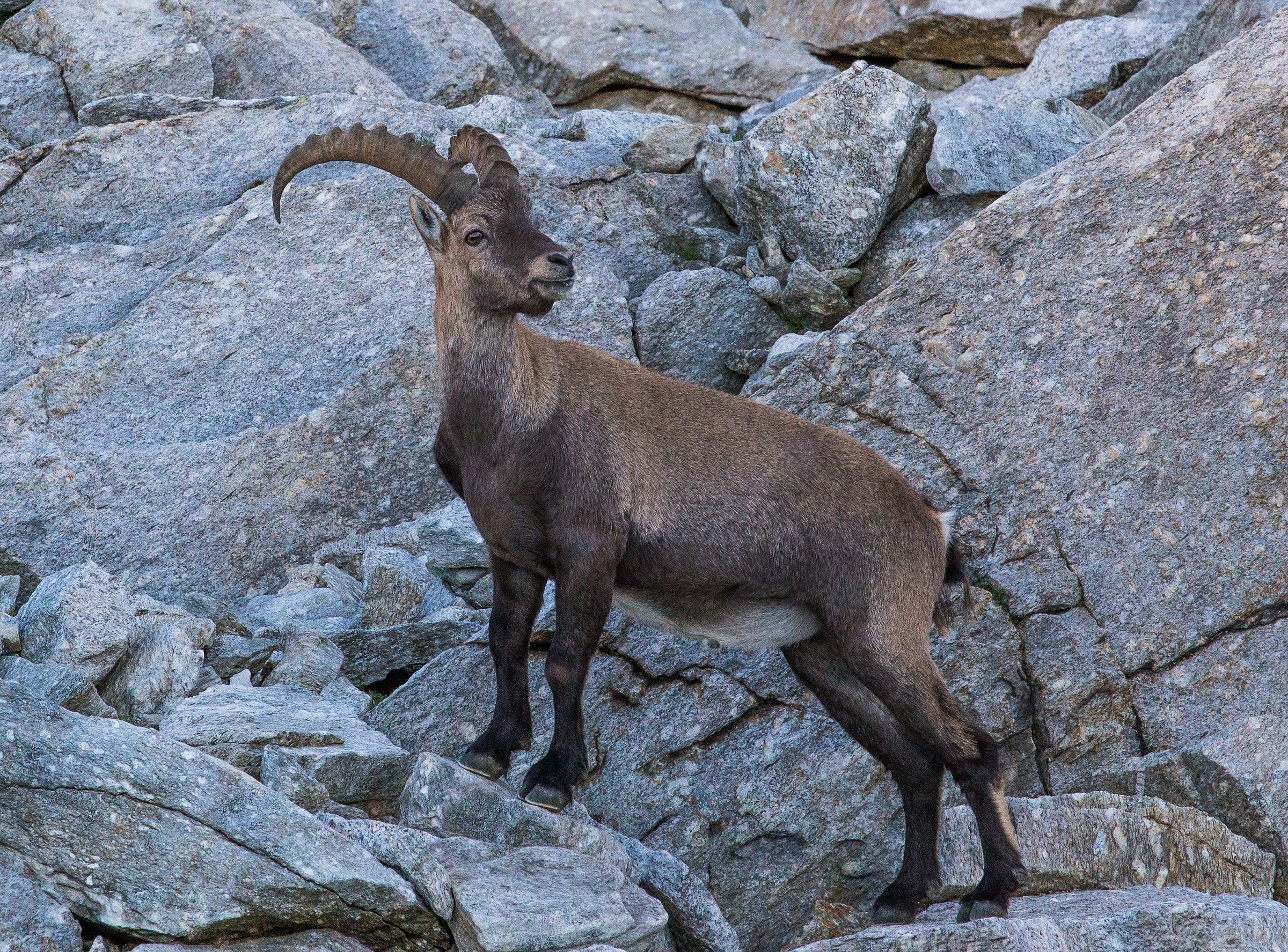 In posa, per favore !