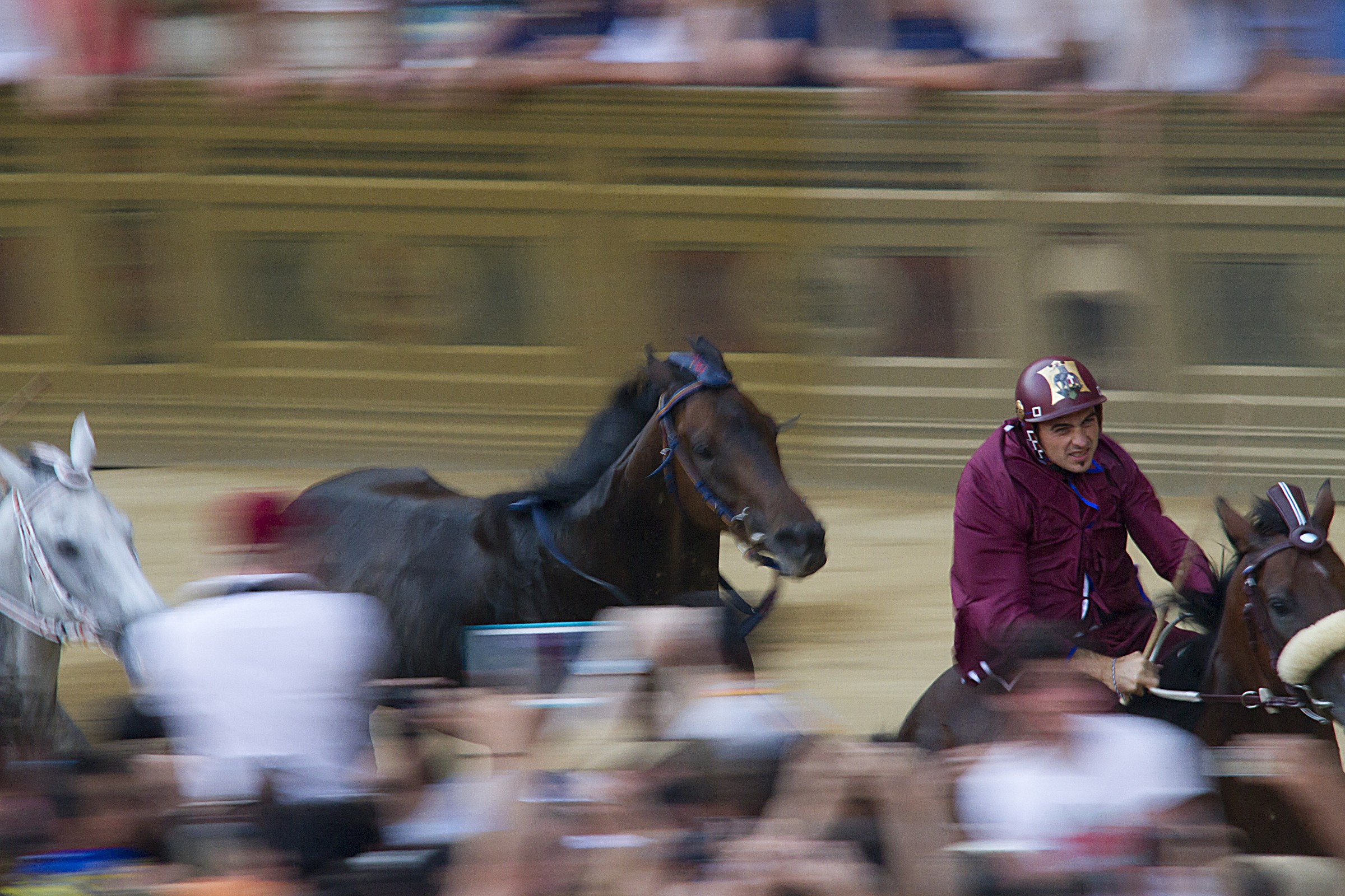 Contrada della Torre and horses "shaken"
