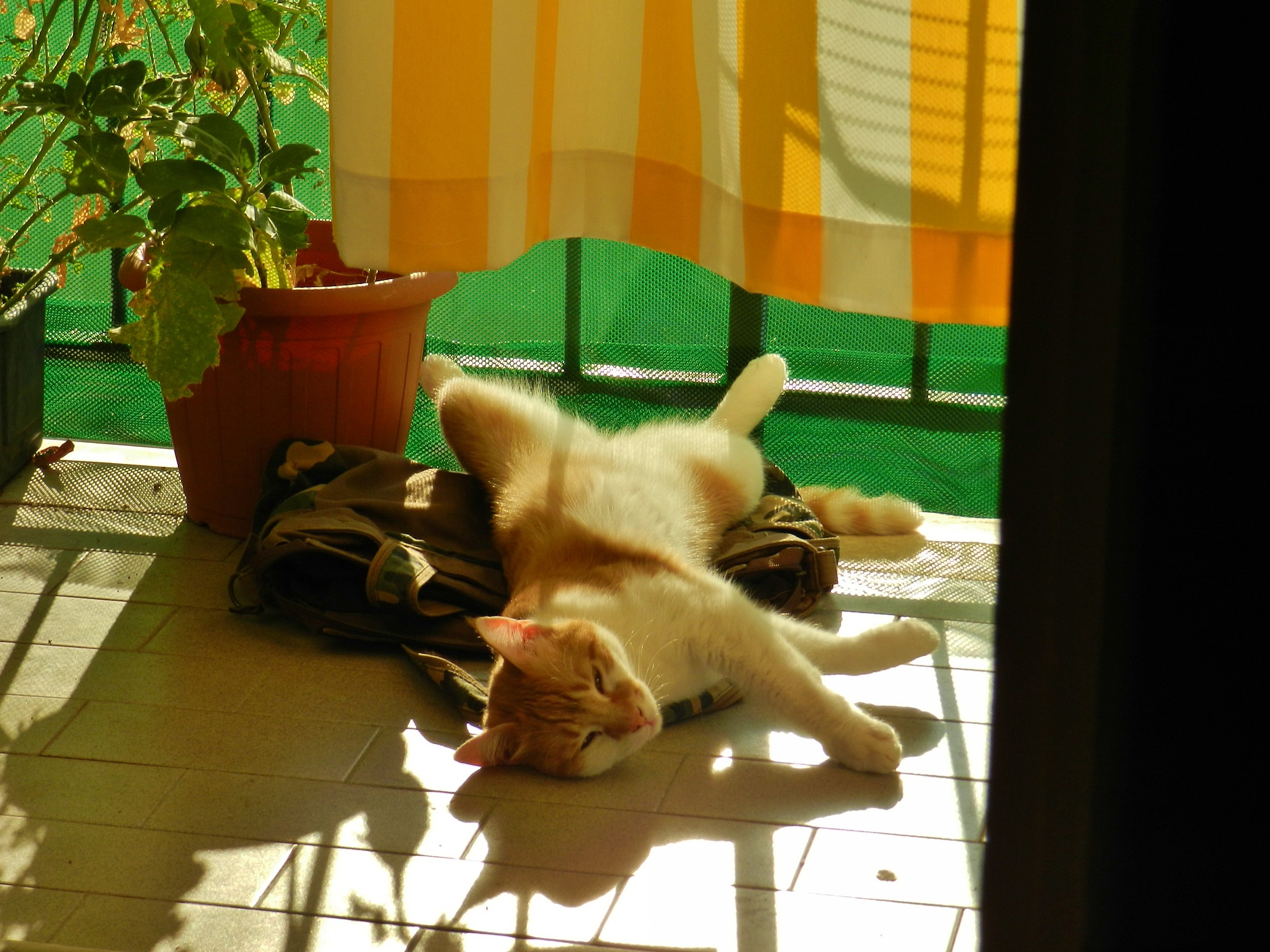 che bella sensazione...