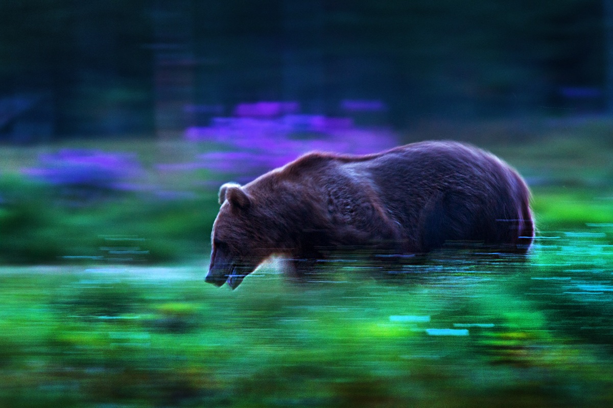 Walking in the colors